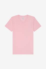 Bella + Canvas Unisex V-Neck Tee – 3005
